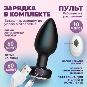 Wireless Remote Plug