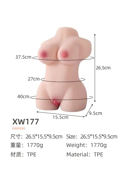 دمية نصف جسم صغيرة - Image 17